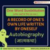 One word substitution autobiography