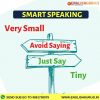 smart English speaking tiny
