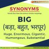 Synonyms of big
