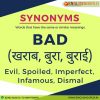 synonyms of bad