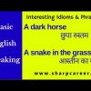 learn interesting idioms and phrases