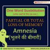 one word substitution amnesia