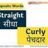Learn what is the opposite of straight through charts, video at englishguruji.