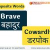 Learn what is the opposite of brave through charts, video at englishguruji