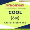 Synonyms of cool